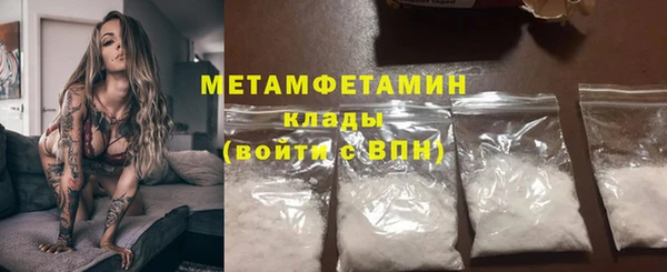 сатива Чекалин