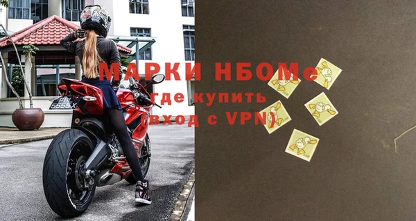 стаф Верея