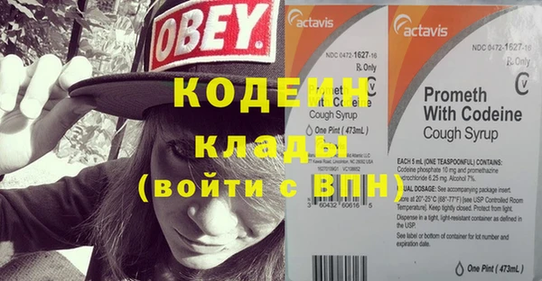 стаф Верея