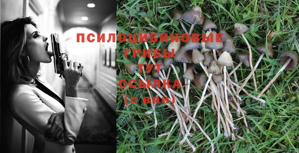 a pvp Володарск